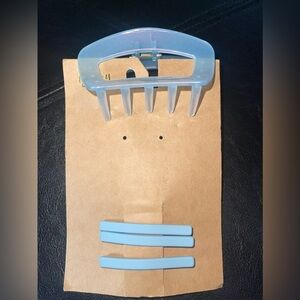 Blue Claw and Hair Clips Set